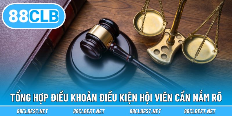 Tổng hợp điều khoản điều kiện hội viên cần nắm rõ